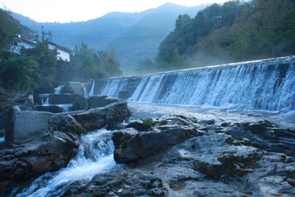 Salmonera de Caño